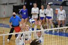 Volleyball vs Babson  Wheaton Women's Volleyball vs Babson College. - Photo by Keith Nordstrom : Wheaton, Volleyball, VB